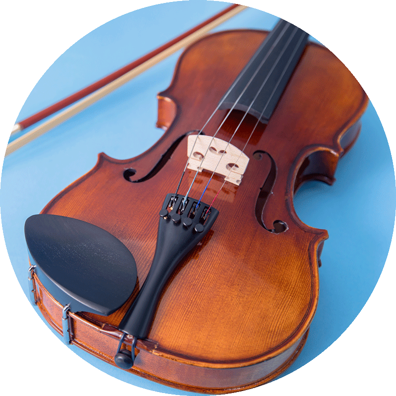 violin